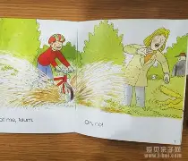 约基奇场均50分都被交后续来了(约基奇比赛视频)